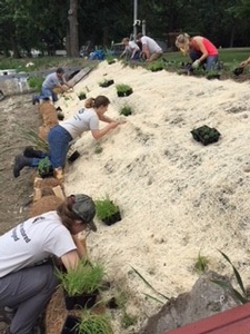 Staff and Conservation Corps installing a shoreline restoration project.