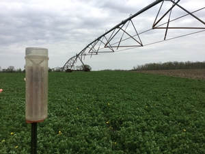 Irrigation scheduling program.