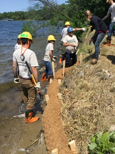 Staff and Conservation Corps installing a shoreline project.
