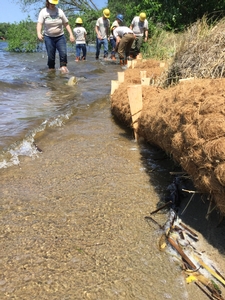 Coir log (coco fiber) installed for shoreline project.