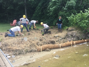Staff and Conservation Corps installing a shoreline project.